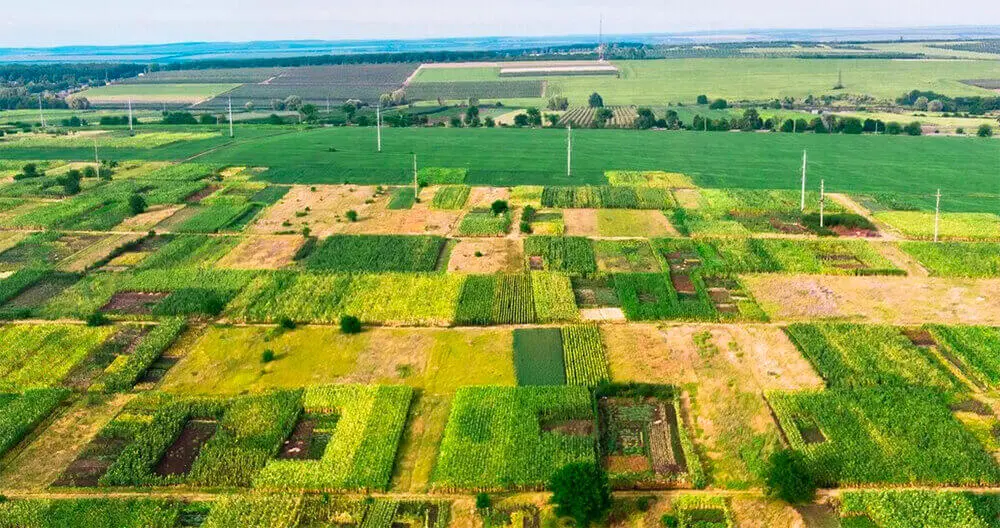 Кредит под залог земли в Украине